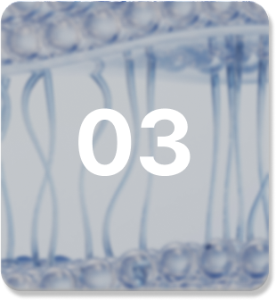 마스크 이미지 3